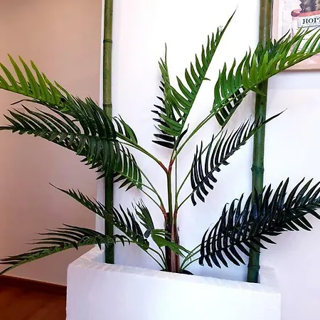 Lurooms 住宿加早餐酒店